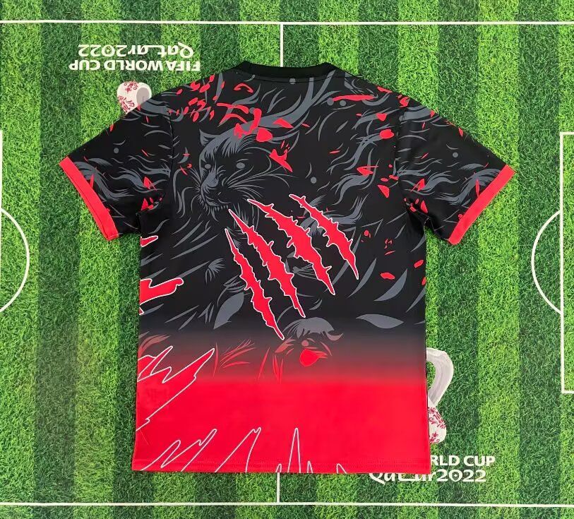 Maillot 25/26 Brésil Spécial Red A
